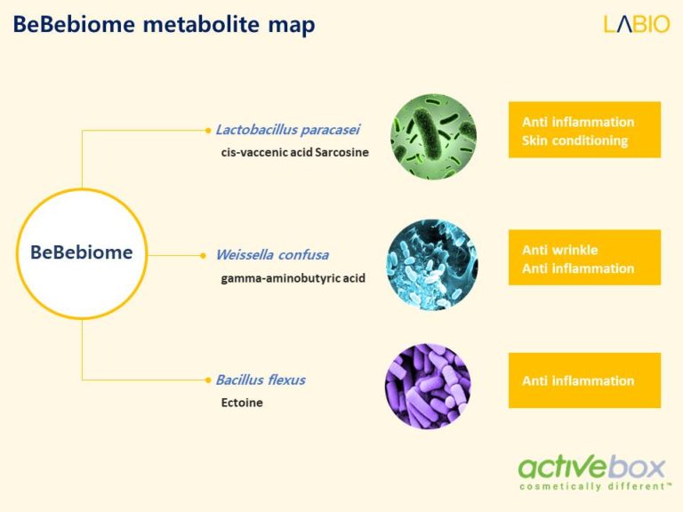 Diapositiva14