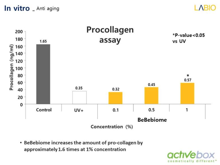 Diapositiva17