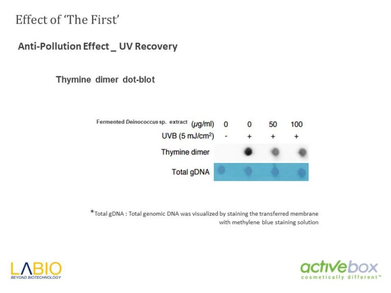 Diapositiva31