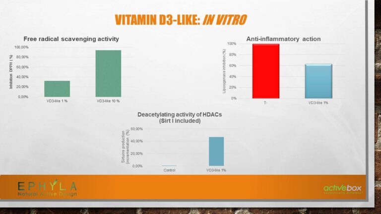 Diapositiva47